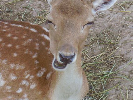 [PICT0225.JPG]