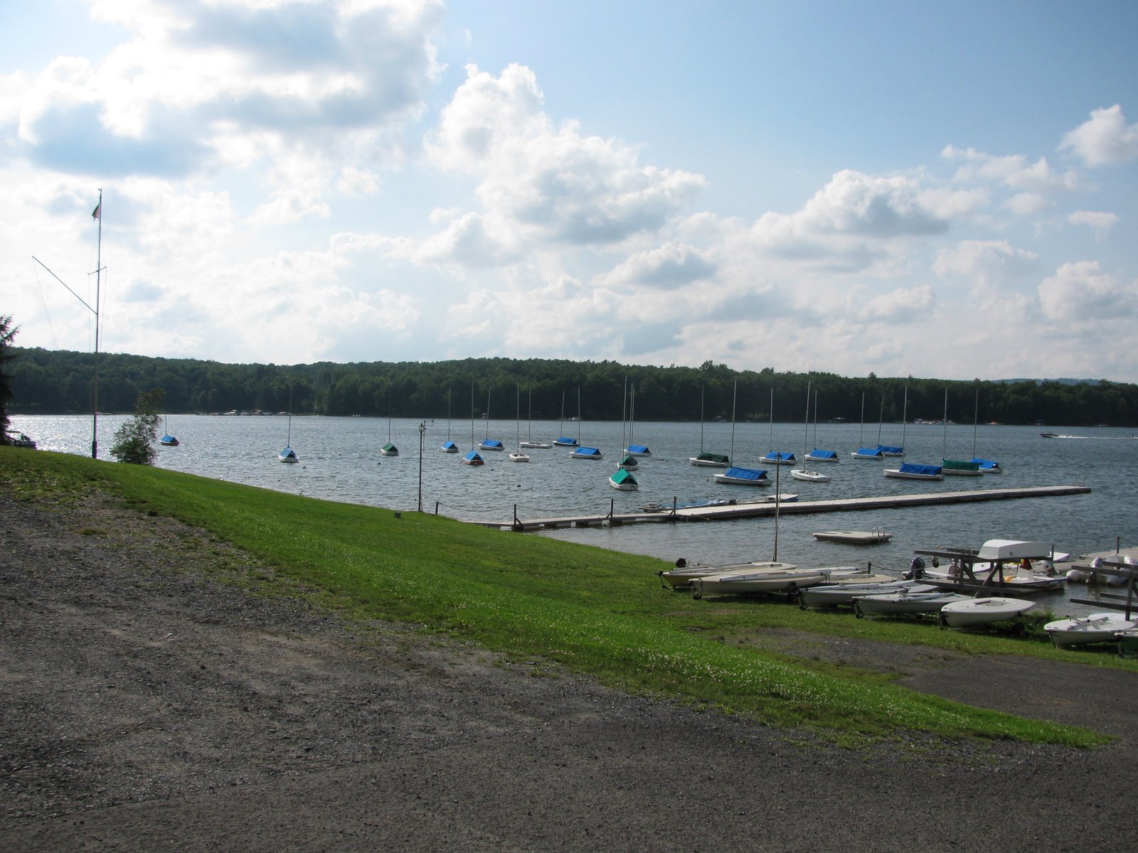 [IMG_0413.JPG]