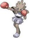 hitmonchan