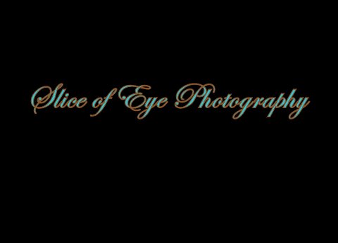 Slice of Eye Photography