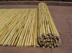 Bamboo Fence on Sale
