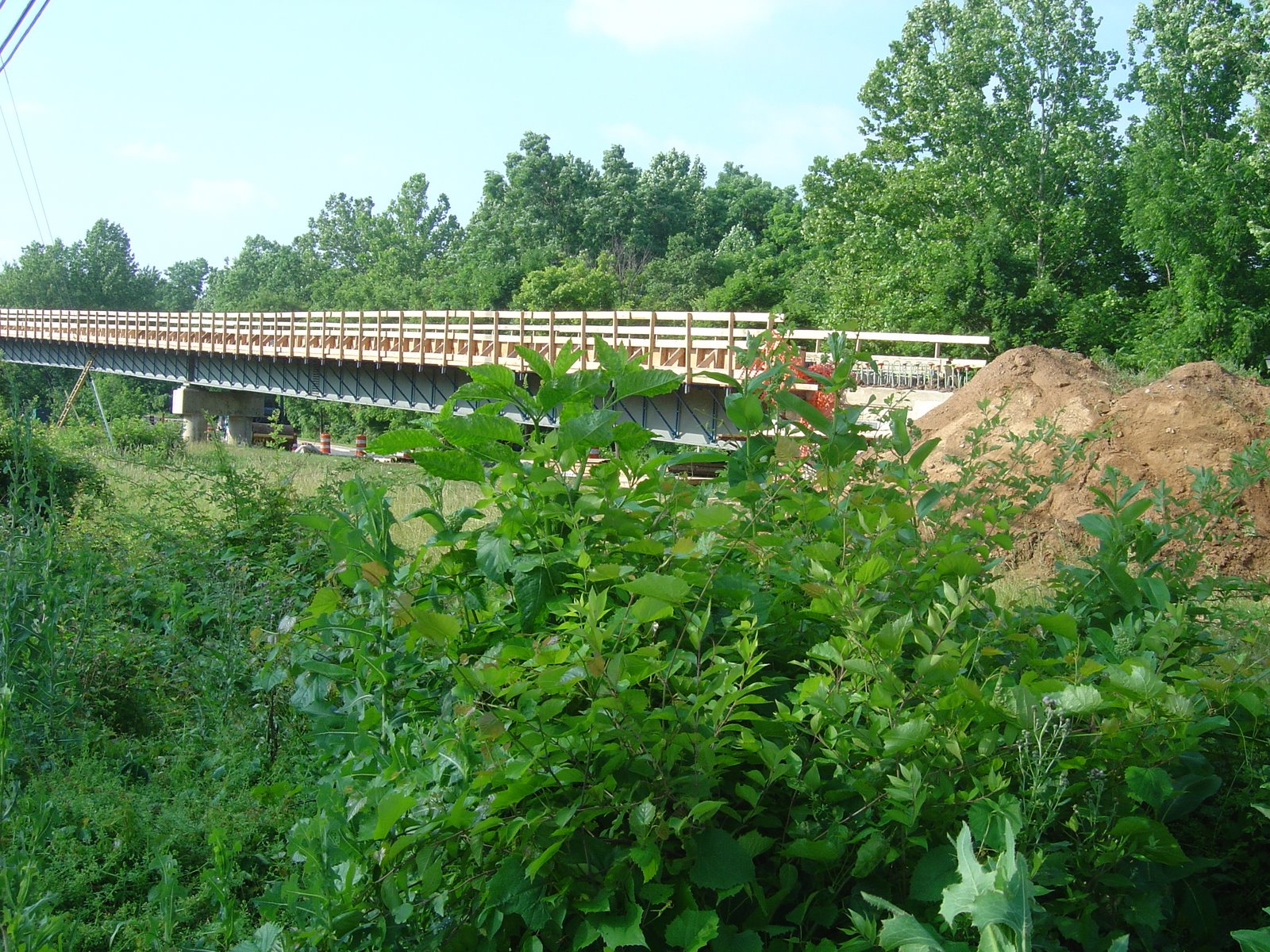 [DSC01129.JPG]