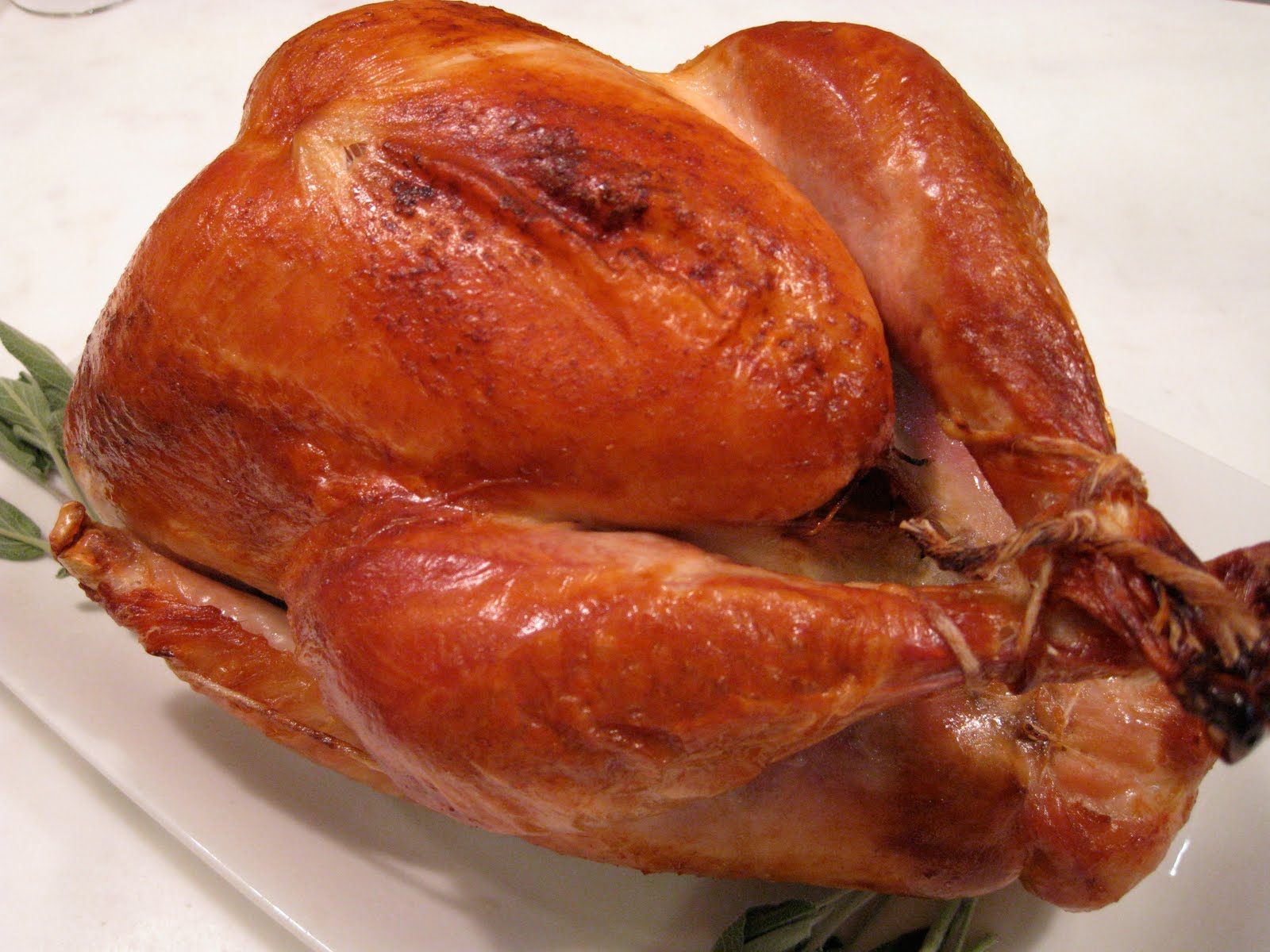 Why do I have a Turkey in my freezer?