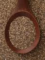 Chia