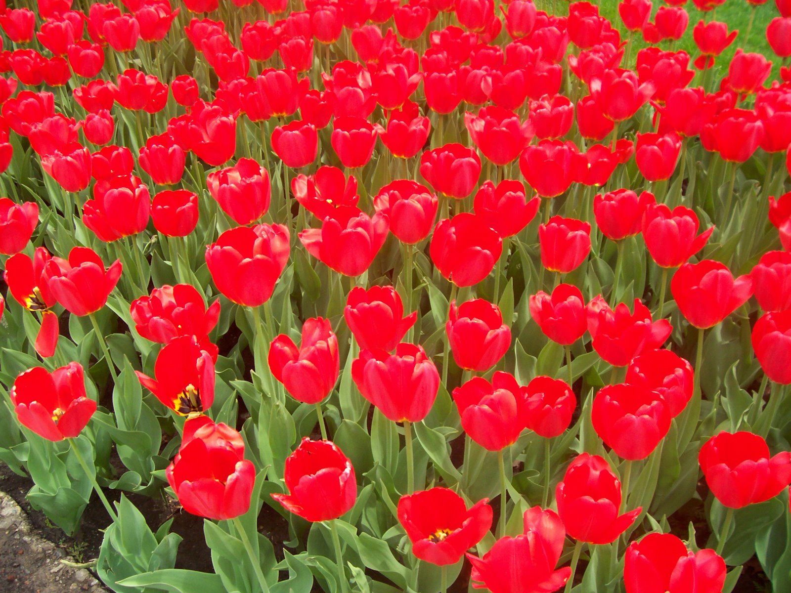 [Spring+09+001.jpg]
