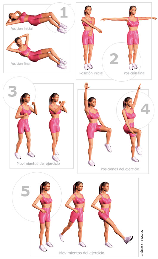 Moscas con dieta para adelgazar panza y piernas una sopa base Dieta dieta para adelgazar panza y piernas