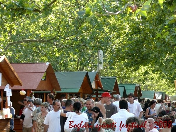 [BBfesztival.jpg]