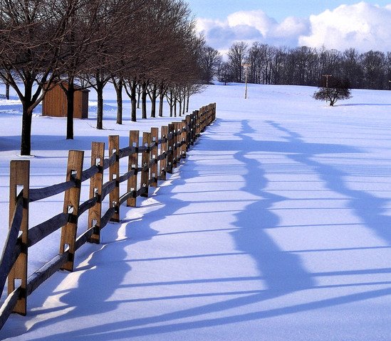 [Snow+Scene.bmp]