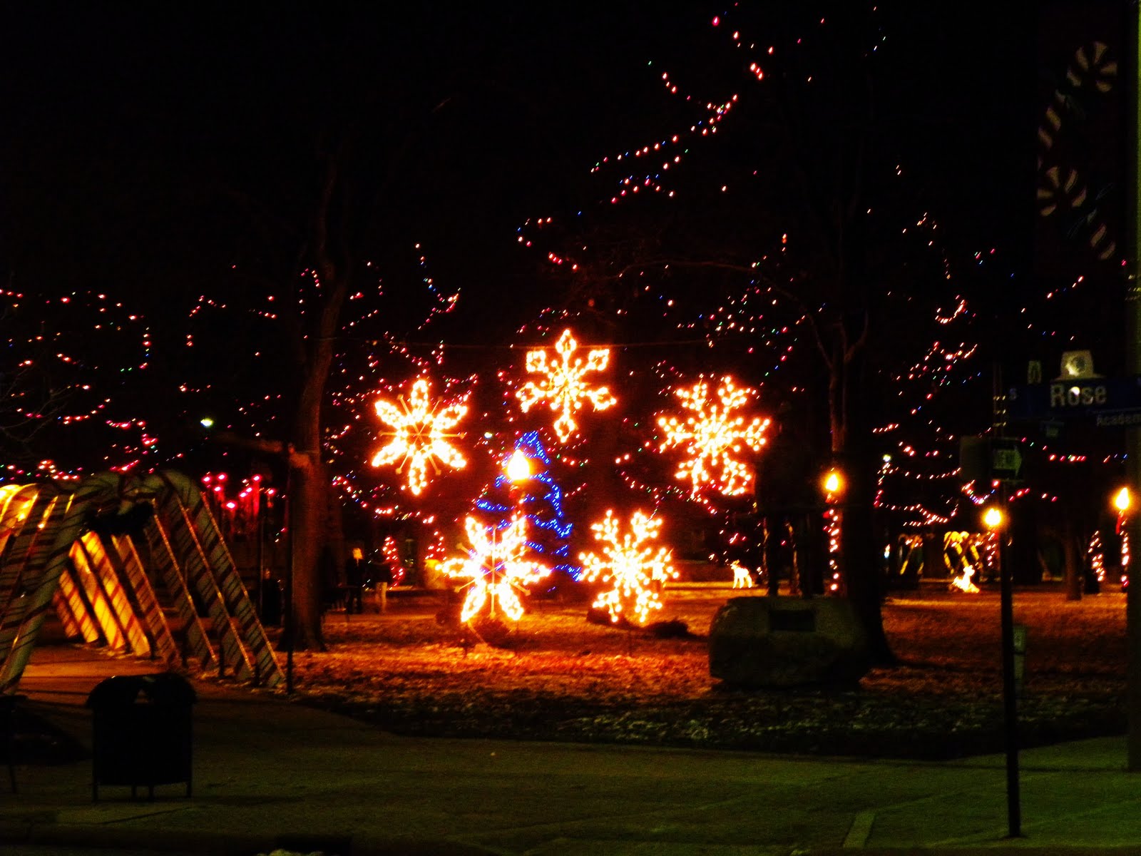 Kalamazoo In Pictures Christmas Lighting, Bronson Park Kalamazoo