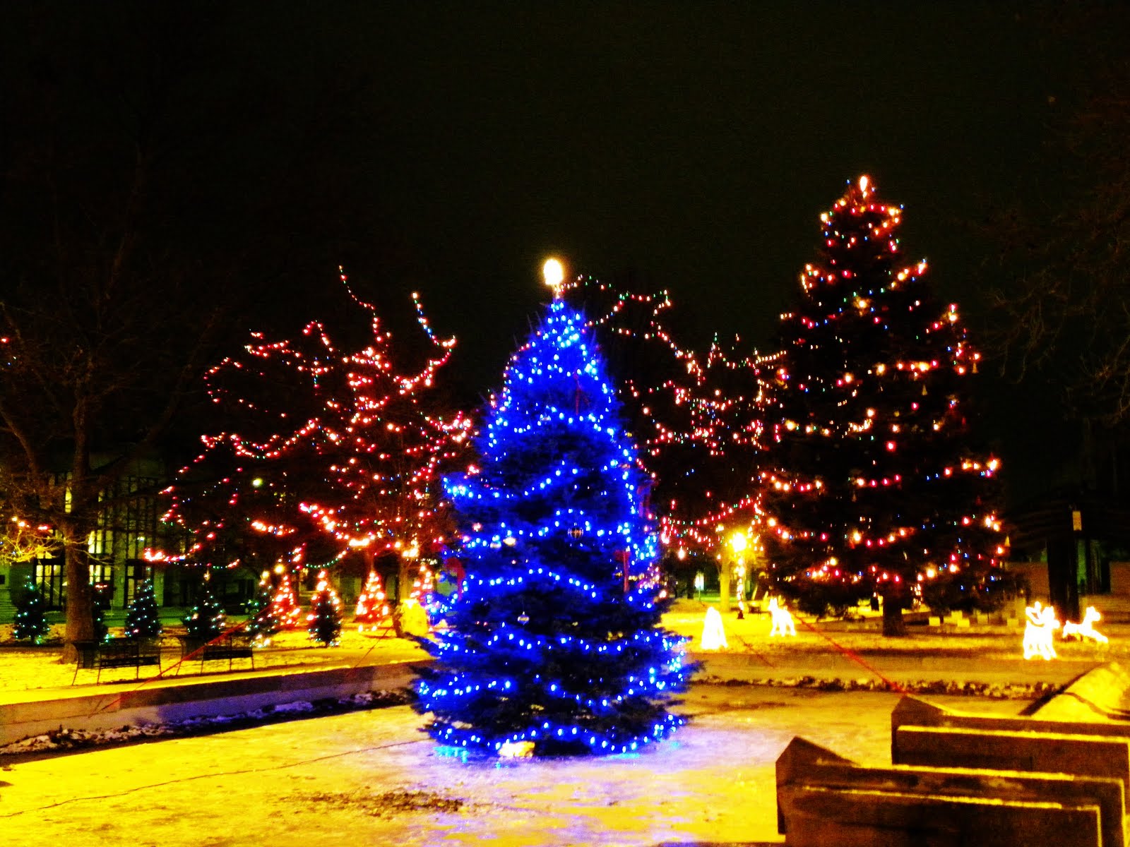 Kalamazoo In Pictures Christmas Lighting, Bronson Park Kalamazoo