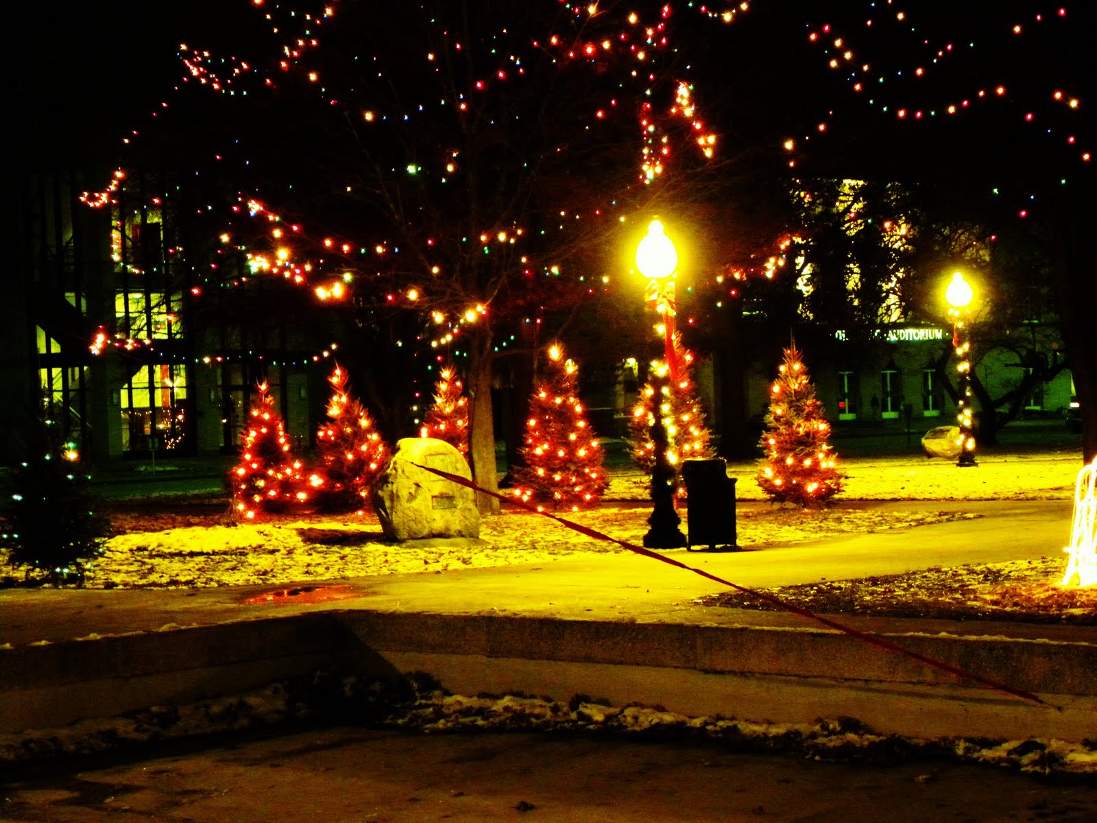 Kalamazoo In Pictures Christmas Lighting, Bronson Park Kalamazoo