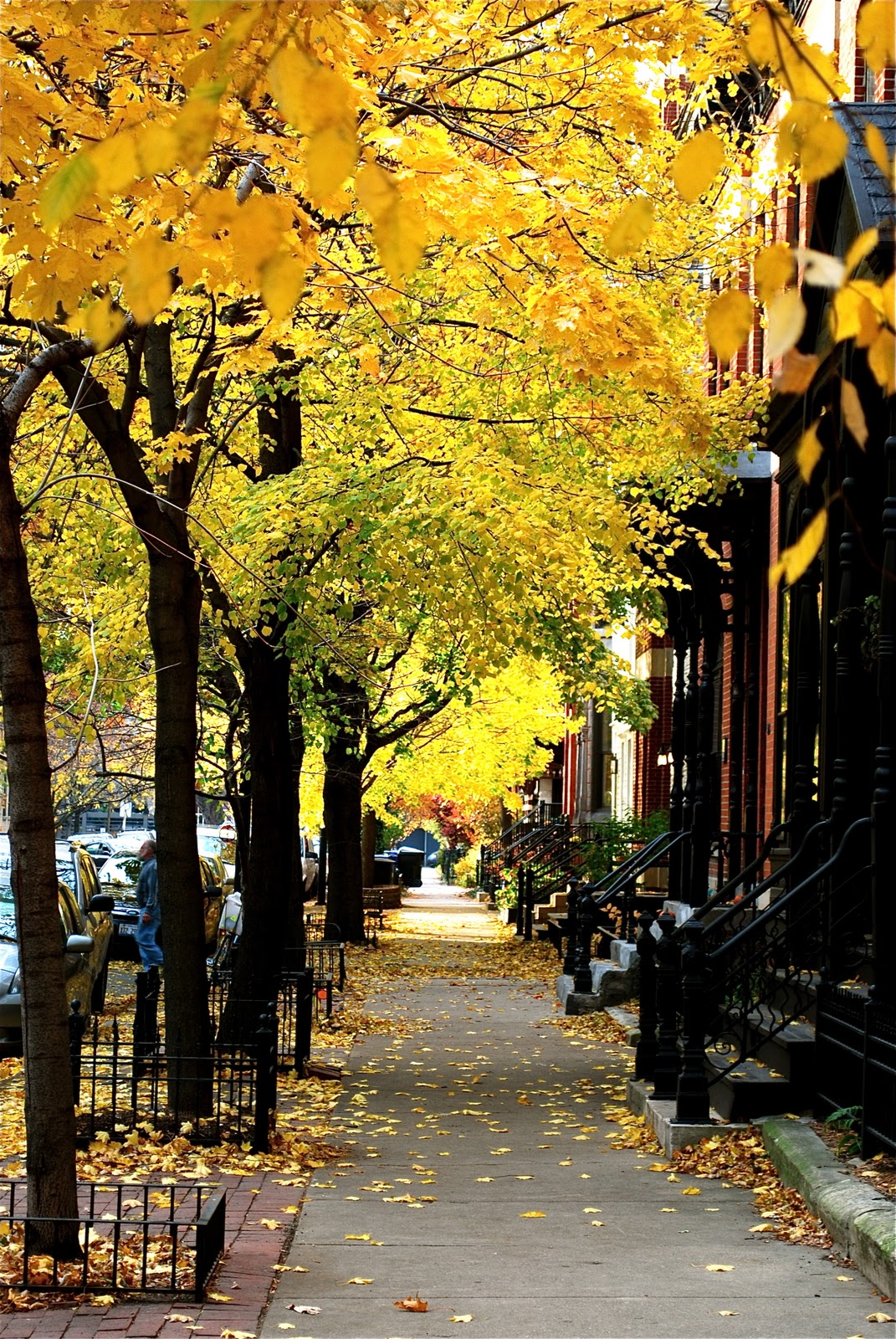 Fall Street
