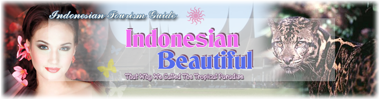 INDONESIAN BEAUTIFUL