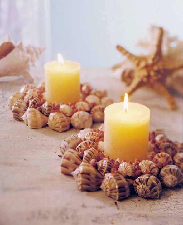 [aShell+Candle+rings.jpg]