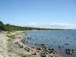 Pirita