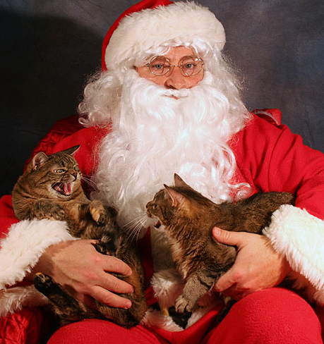 [cat_santa.jpg]
