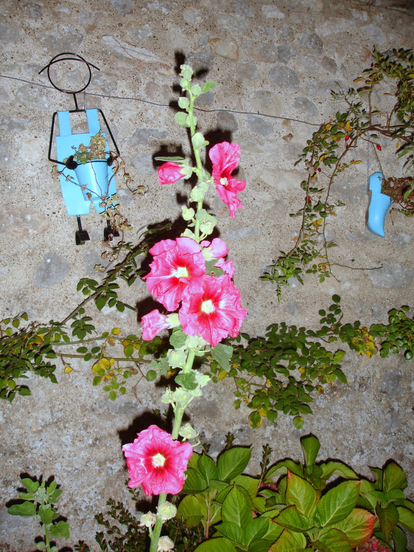 [DSC04126.JPG]