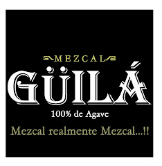 Para todo mal mezcal... y para todo bien tambien.. y si de mezcal se trata.. de Güilá tiene que ser