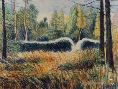 Strange Tree Circular Garden Poole Wood Grey Towers Nunthorpe painting in oil pastel by Ingrid Sylvestre North East artist Durham artists UK Strange Tree Circular Garden Poole Wood Grey Towers Nunthorpe painting in oil pastel by Ingrid Sylvestre North East artist Durham artists UK
