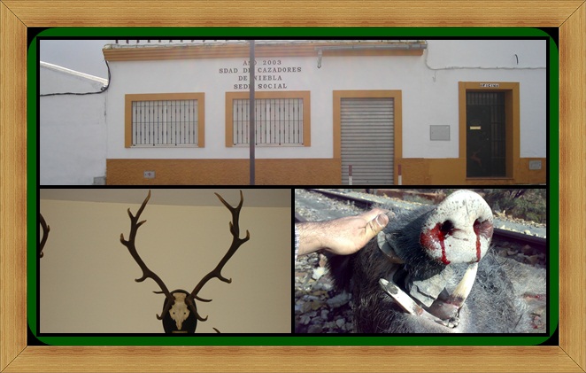 Sociedad de Cazadores de Niebla