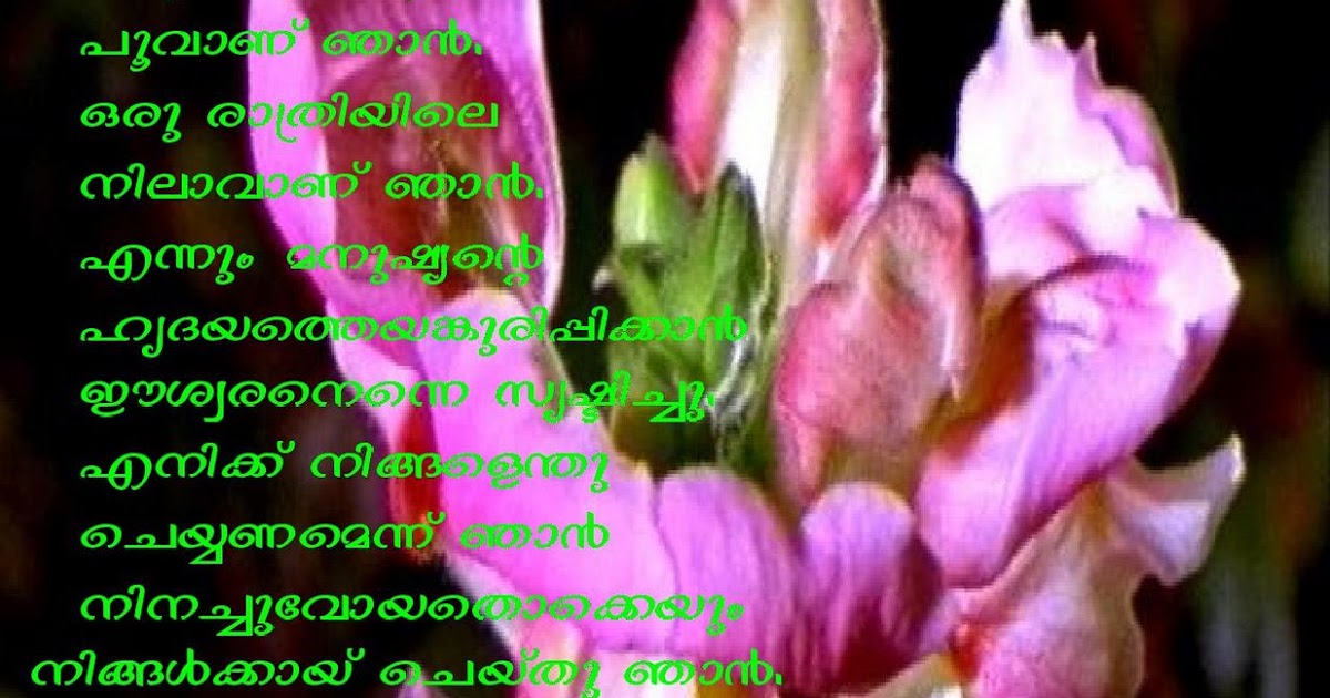 essays on tourism in kerala essays on tourism in kerala