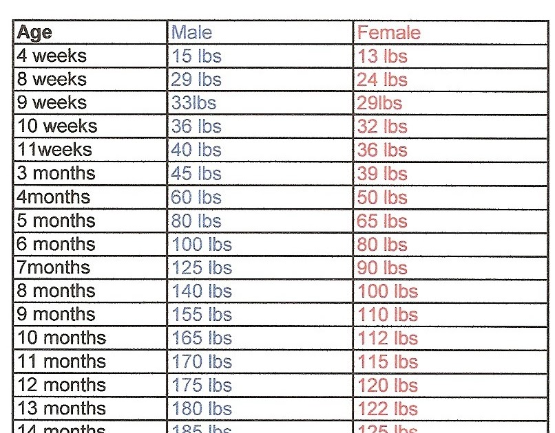 6 Month Old Weight Chart
