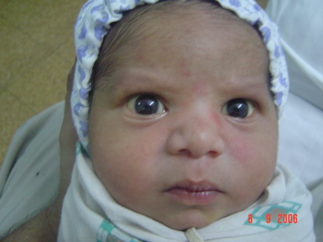 [DSC02464.JPG]