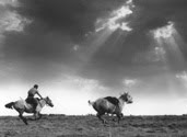 A CAMPO ABIERTO - André Baranoff