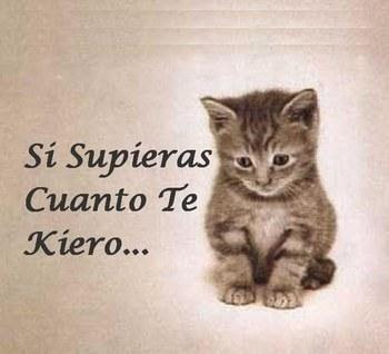 YO QUIERO NOMBRE NINO yo quiero nombre nino: