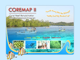 coremap ii