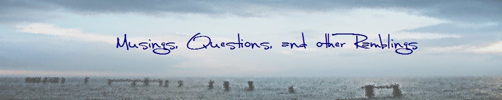 Musings, Questions, and other Ramblings