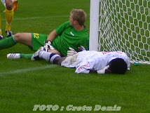 FC Botosani