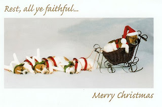 cute christmas sleigh