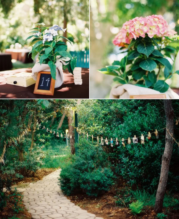 A great alternative to a slide show a clothesline gallery A great alternative to a slide show a clothesline gallery