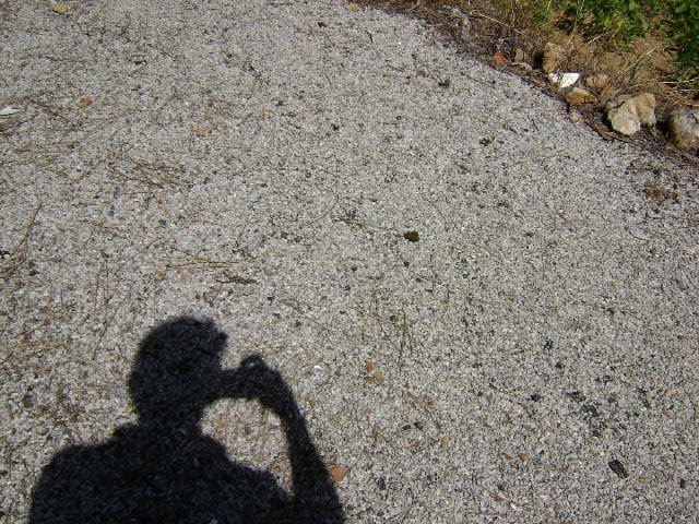 [DSC00969.JPG]