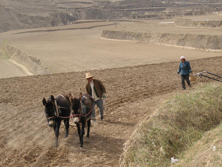 [Gansu+village+2a.JPG]