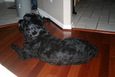 Waiting patiently for trick-or-treaters