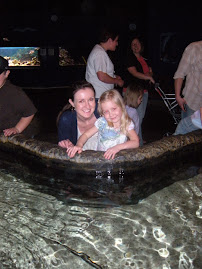Sting Rays at The Aquarium!