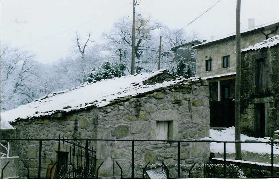 [Picture+096.jpg]
