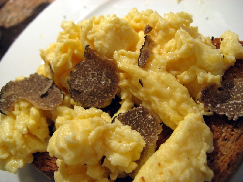 [scrambled+egg.jpg]