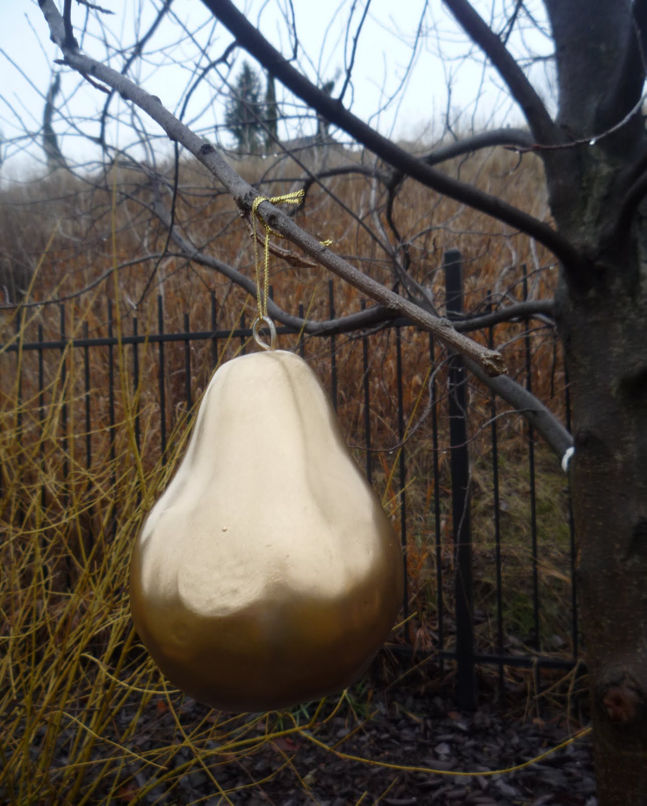 [P1020173_edited-1.JPG]