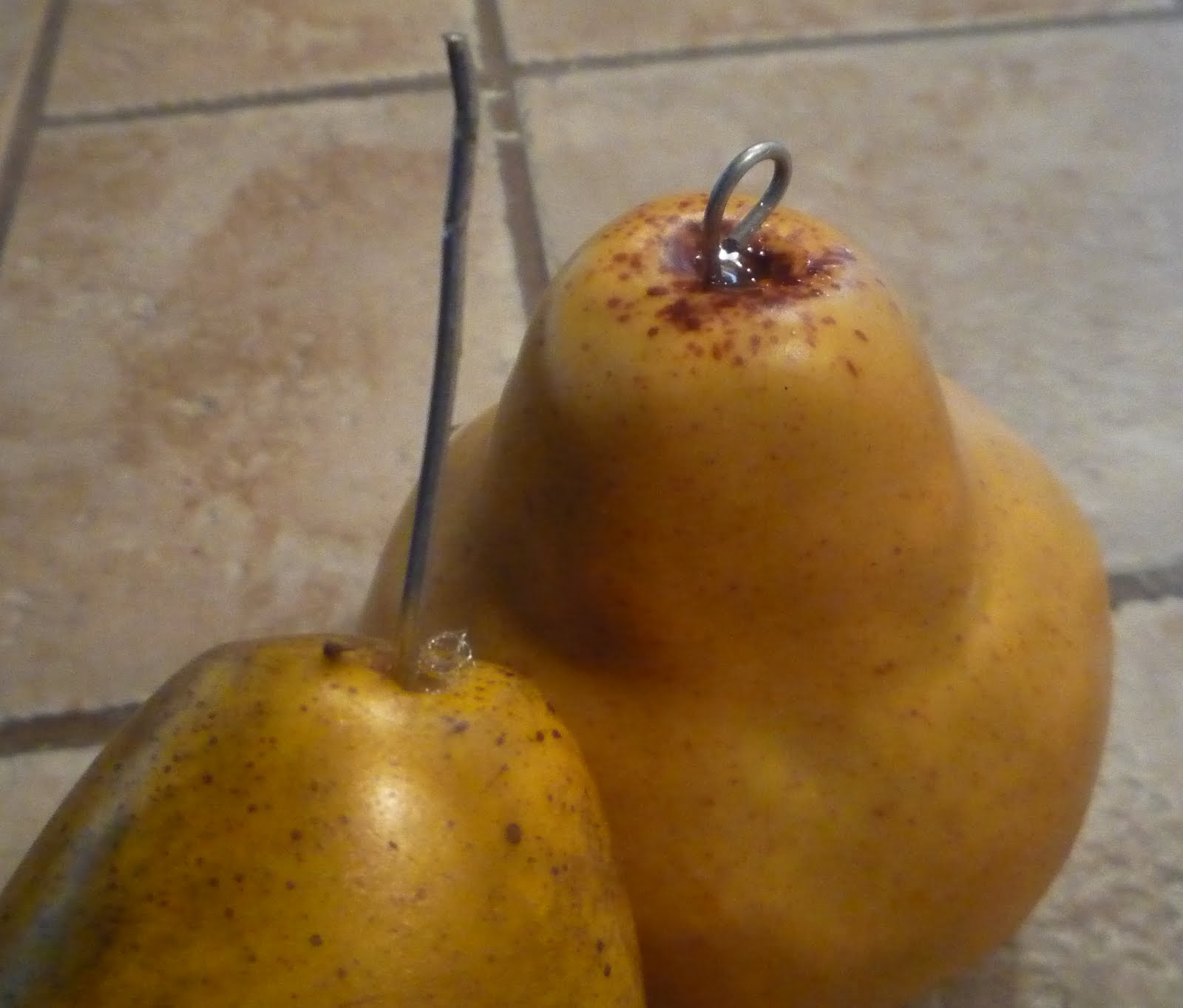 [P1020170_edited-1.JPG]