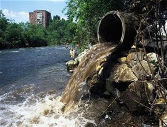Calidad Del Agua