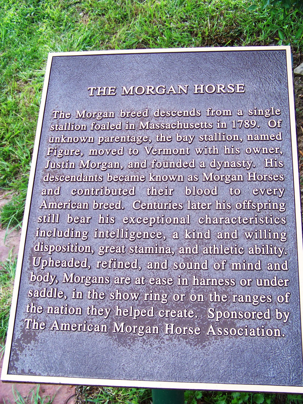 Fantastyk Voyage Free Spirits at Noisy Water