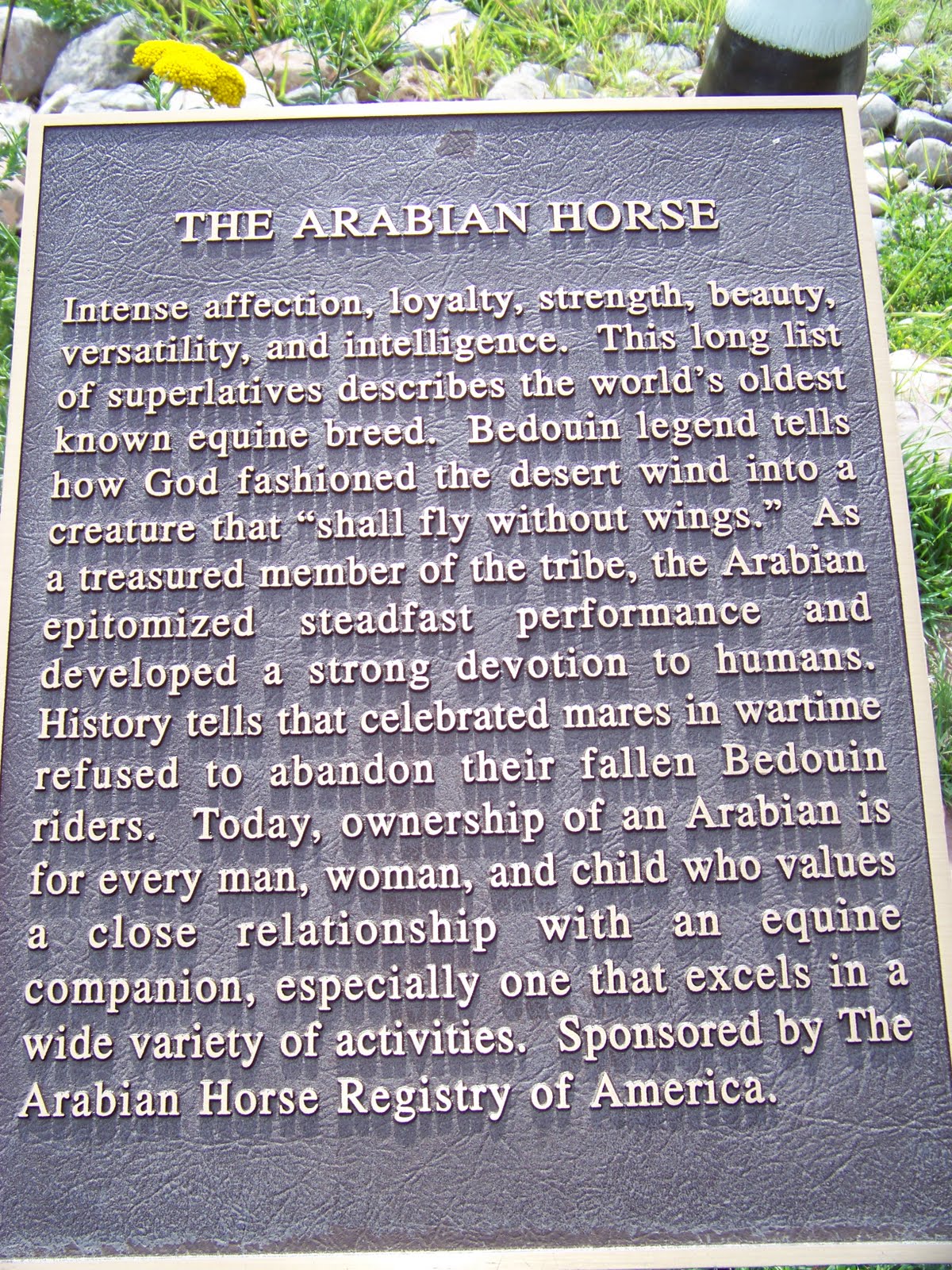 Fantastyk Voyage Free Spirits at Noisy Water