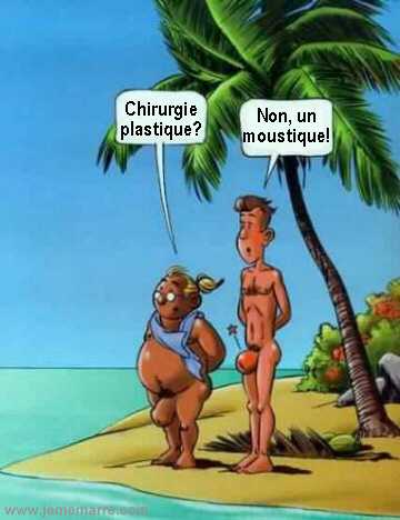 external image chirurgie_ou_moustique.jpg