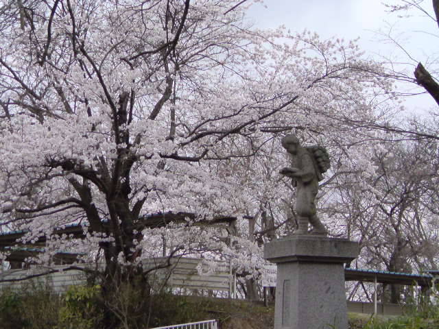 [20090427213154-799575.jpg]