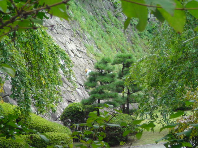 [20090828074746-731094.jpg]