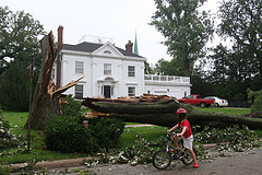 [1226010055_b782dcf8b5_m.jpg]