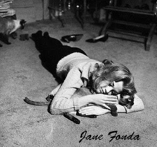 Sweet Jane